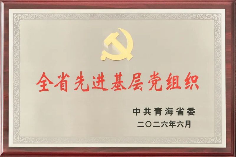 喜報！省物產集團黨委及所屬集體個人榮獲全省和省國資委系統&ldquo;兩優一先&rdquo;表彰